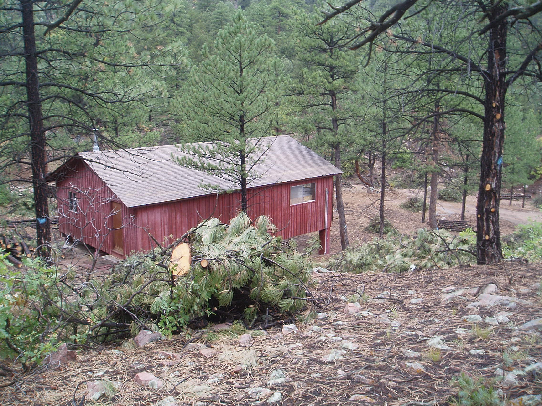 A structure in a forest after the risk reduction process has removed much of the surrounding flamable brush and trees.