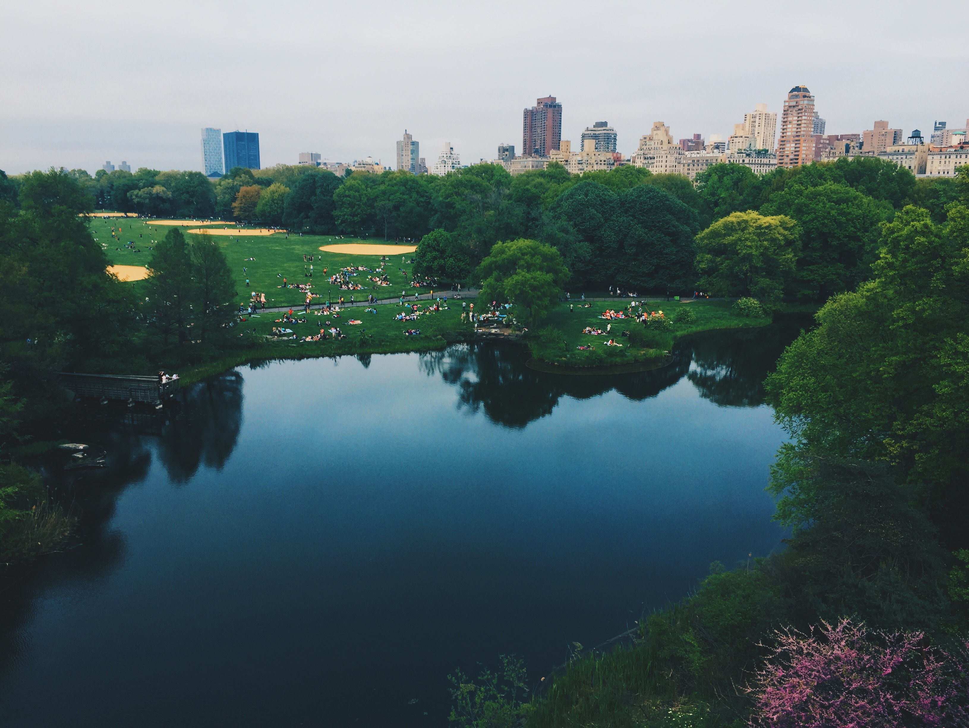 A photo of a man made pond overlooking a city skyline