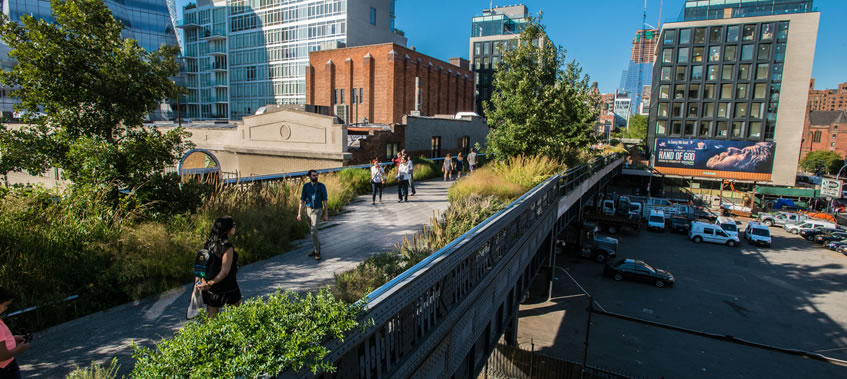 An elevated walkway in a city vegetated with trees and other plants.