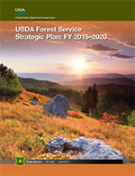 Publication cover page. Download complete Strategic Plan (PDF, 10 MB