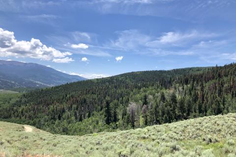 A picture of a rolling hill landscape with a meadow in the foreground and forested hills in the background.