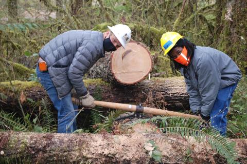 Young man and young woman wearing hard hats and PPE using logging tongs to carry a log.
