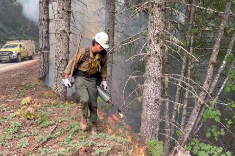 Person in hard hat with ax in one hand, using a drip torch to ignite a controlled burn along tree line.