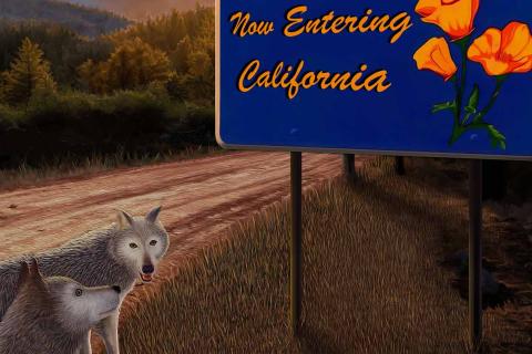 Image shows an illustration of two wolves on a dirt road looking at a Welcome to California road sign with mountains in the background.