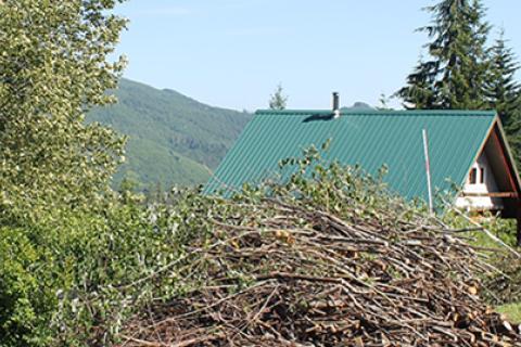 Removal of tree branches and trees near a home