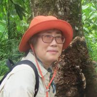 A profile picture of Mee-Sook Kim.