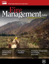 pack horses and desert fire