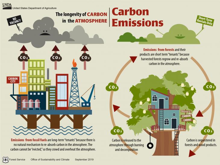 This graphic illustrates the open cycle of fossil fuel emissions to the atmosphere and the biogenic, closed loop of forest carbon in the atmosphere.