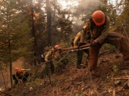 Roosevelt Hotshots working.