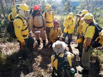 Firefighters gathered around an instructor while discussing controlled fire