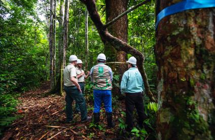 Group of Forest Service personell chatting in the woods