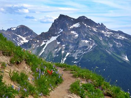 Mountain trail, snow covered peaks in the background
