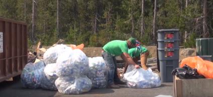 People sorting through bags of garbage