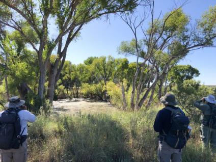 Tribal monitors study a milkweed habitat.