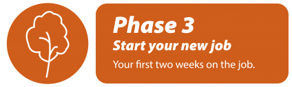 Phase 3: start your new job, your first two weeks o the job