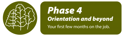 Phase 4: orientation and beyond - your first few months on the job.