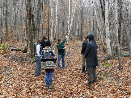Landowner shows her neighbors the forest management work she's done on her property.