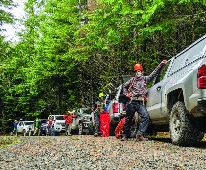 People standing at trucks in forest