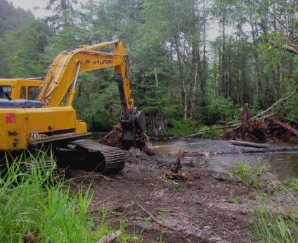 A tracked excavator is used to place entire trees and root wads into creek to create a habitat.