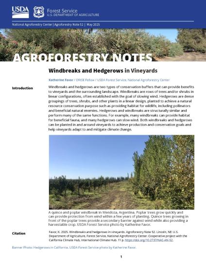 cover of a leaflet about using hedges for windbreaks in vineyards
