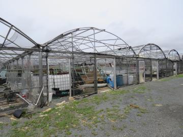 A picture of several greenhouses showing damage caused by hurricanes.