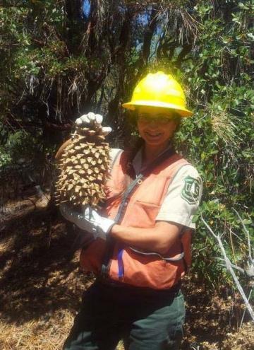 Kayanna Warren holds up a large Coulter pine cone.
