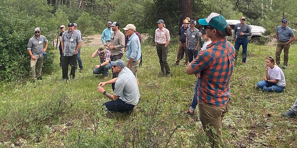 Forest Service and partners during a field tour on the San Juan National Forest.