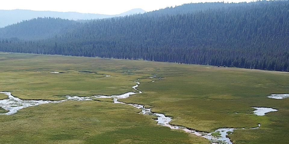 Aerial view of a marsh wetland with forest covered hills rising in the distance.