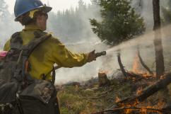 Managing Fire