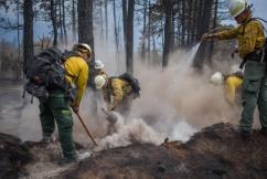People Working in Fire