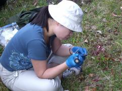 A picture of Mee-Sook Kim conducting research out in the field.