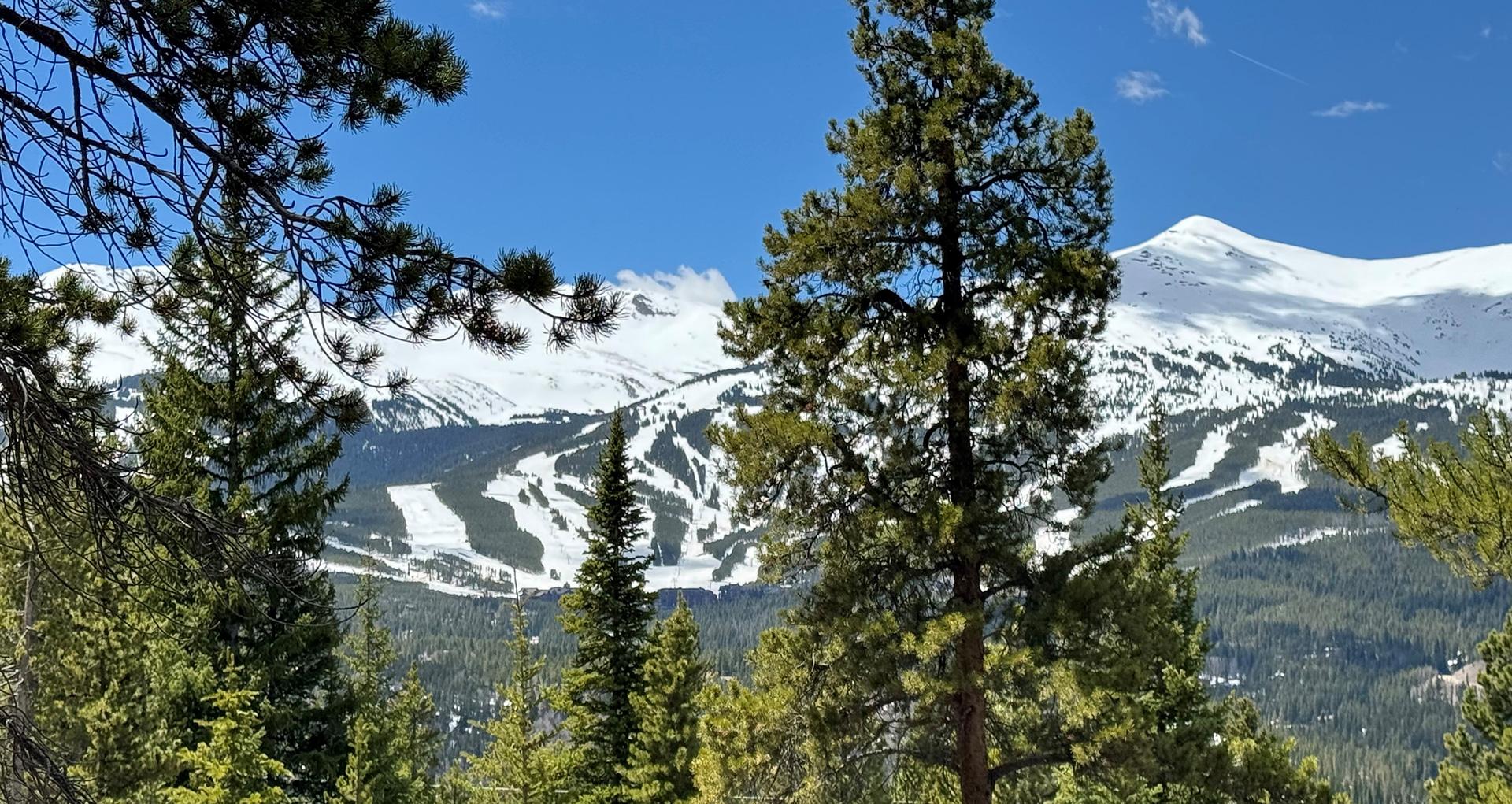 Tallgrass to the forest White River National Forest US Forest Service