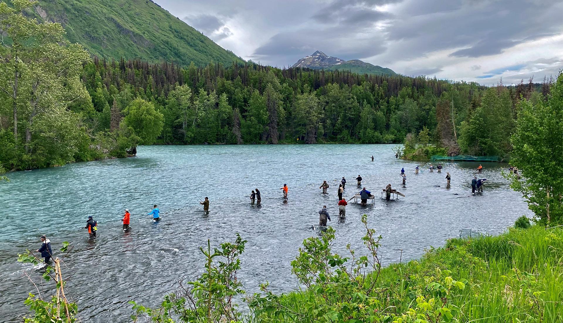 A line of people fishing while standing in the confluence of the Russian and Kenai Rivers in the Chugach National Forest.