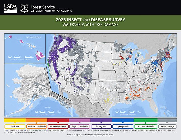 National Insect and Disease Detection Survey Summary Maps