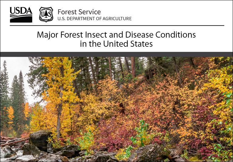 Forest Conditions Report cover