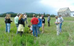Blackfoot Challenge members and Forest Service scientists and managers investigating a vegetation plot.