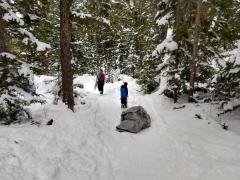A picture showing an adult and a young child walking through a snowy path in the forest.  The young child is pulling a tree wrapped in a tarp.