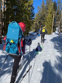 A picture of several cross-country skiers and a small child in a sled skiing on a snow-covered, forested trail.