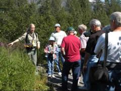 A naturalist talking to a group of people about native plants in Portage Valley, Alaska.