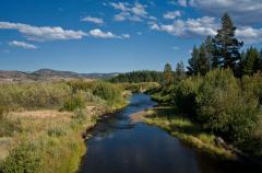 A river runs through a marsh
