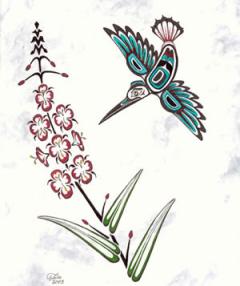 A hummingbird flits among the blossoms of a fireweed, cultural illustration.