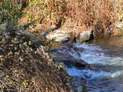 A sewage pipe across a river in Romania.