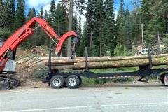 Timber being loaded on a truck by a grabber-loader for transport out of a forest.