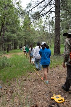 Seven people with their backs to the camera walk along a meter tape on the ground in a forest.
