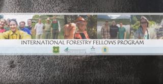 Video splash page with the text of International Forestry Fellows Program