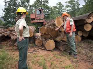 Two uniformed Forest Service employees reviewing a log deck on a logging operation.