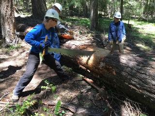 Crew members using a crosscut saw to clear a down log across a trail.