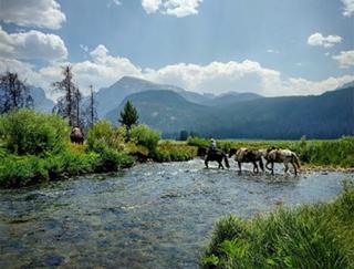 A man on horseback leading two pack horses fording a mountain stream, mountains in the background.