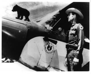 Smokey Bear and Ranger