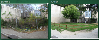 A picture showing an area in a local community that has been "greened" up with fresh grass and new trees.